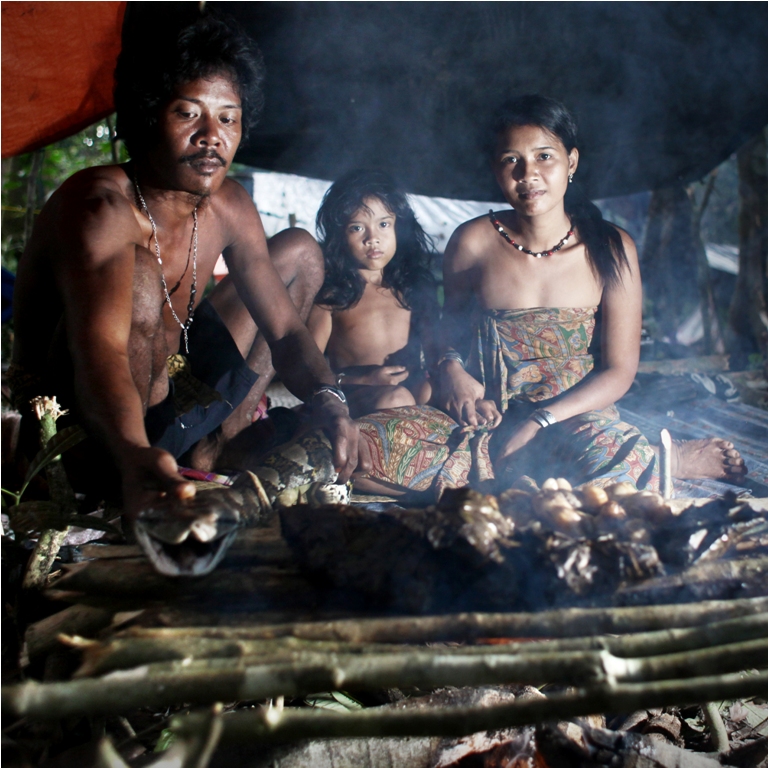 Sumatra Rainforest and The People Inside
